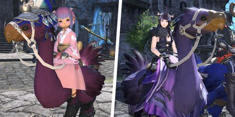 Final Fantasy Xiv How To Change The Color Of Your Chocobo Mount
