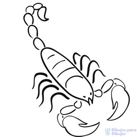Alacran Dibujo Facil Como Dibujar Un Escorpion Curso De Dibujo Fácil