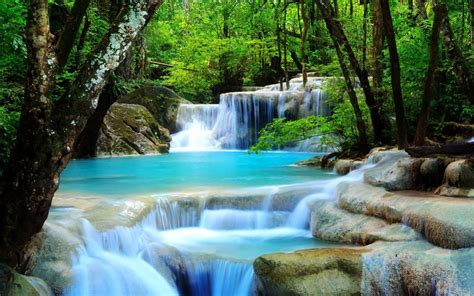 Waterfall Image For Desktop Wallpaper 2560 X 1600 Px 12 Mb Rainforest