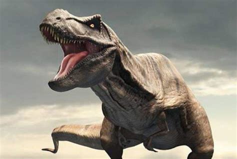 Tiranosaurio Rex T rex Wiki Amino Paleontología Amino