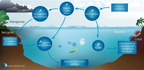 The Ocean And Climate Change Resource Iucn