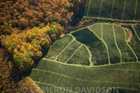 Aerialstock Aerial Photograph Of A Christmas Tree Farm In Southern