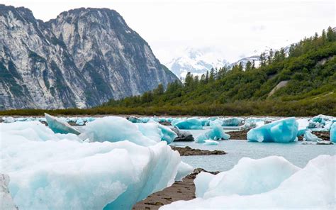 Discoverer's Glacier Country Alaska Review | AdventureSmith Explorations