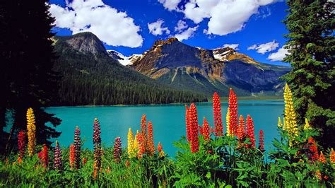 Emerald Lake Yoho Np British Columbia Ca Cloud Landscape Yoho