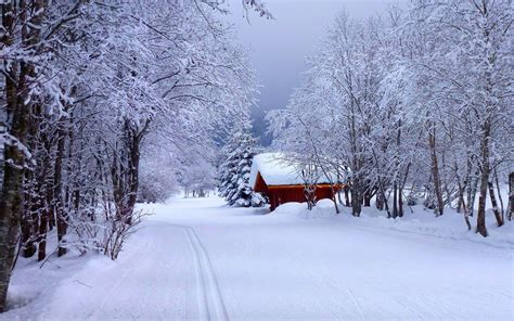 冬季，路，房子，雪，2020，自然，风景，照片预览
