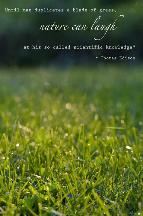 Top 30 Quotes And Sayings About Grass