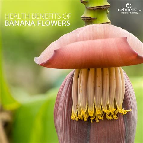 Banana Flower The Superfood You Haven T Heard Of