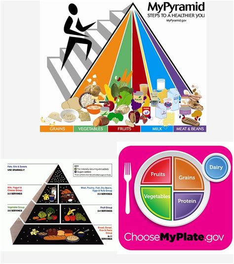 The food pyramid also included a range of servings for each of the food groups. Food Pyramid For Kids And Teens in 2020