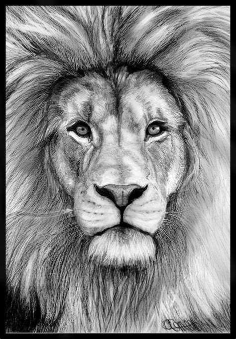 If you liked this guide, do not forget to visit the tutorial where we taught to make a and do not forget to share this sketching instruction with your friends and those who want to become a true professional in drawing animals. Animal Pencil Drawing 2 | Pencil drawings of animals, Realistic animal drawings, Lion art