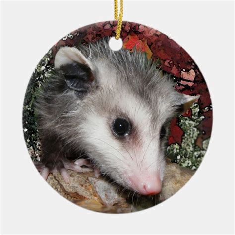 Opossum Baby Christmas Ornament Zazzle Co Uk
