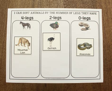 Sort And Classify Animals Pre K Printable Fun