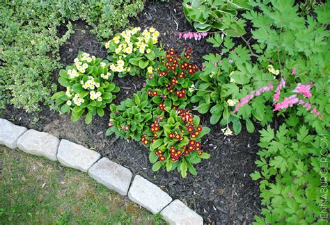 Tree trunks can guard your edge. The Easiest Garden Edging Ideas That Are Budget Friendly
