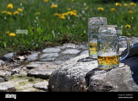 Bavarian Beer Mugs Hi Res Stock Photography And Images Alamy