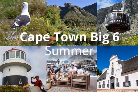 An Epic Summer Roundup With Cape Town Big 6 Cape Town Big 6