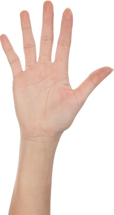 Hands Png Hand Image Free