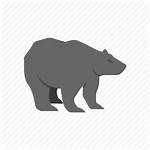 Market Bear Icon Grizzly Icons 512px