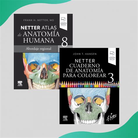 PAQUETE ANATOMÍA DE NETTER ATLAS CUADERNO DE COLOREAR ELSEVIER