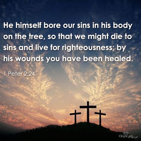 He personally carried our sins in his body on the cross so that we can be dead to sin and live for what is right. "He himself bore our sins in his body on the tree, so that ...