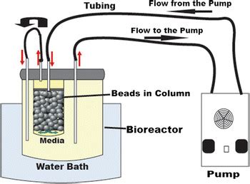 Schematic Illustration Of A Packed Bed Reactor PBR Of 100 Ml Media