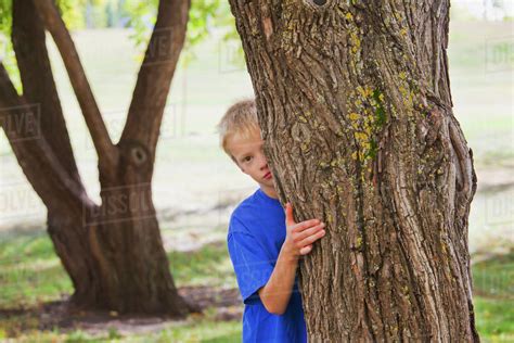 A Boy Hiding Behind A Tree In A Park Edmonton Alberta Canada Stock
