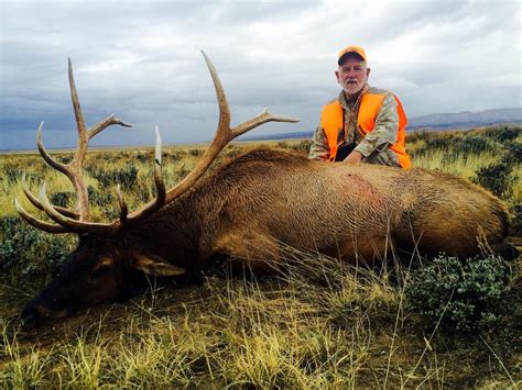 The Best Elk Hunting States Top End Adventures
