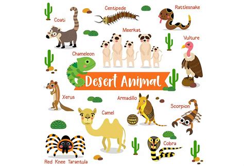 List Of Animal Names For Preschoolers And Kids With Pictures