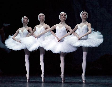 Classic Dance Mariinsky Ballet Corps Members Are Excellent In Swan