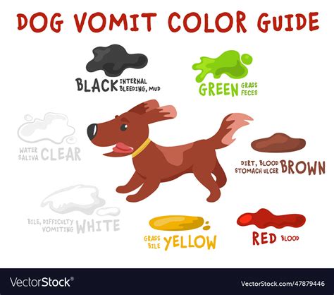 Dog Vomit Color Guide Editable Royalty Free Vector Image