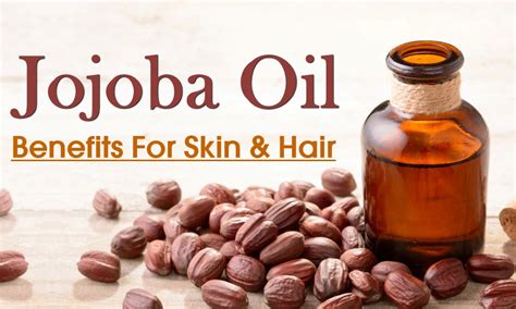 Jojoba oil for hair growth. Jojoba Oil for Hair And Skin: Benefits, and How to Use ...