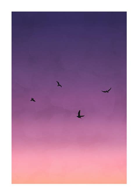 Purple Sunset Digital Art By Daniele Borraccino Fine Art America