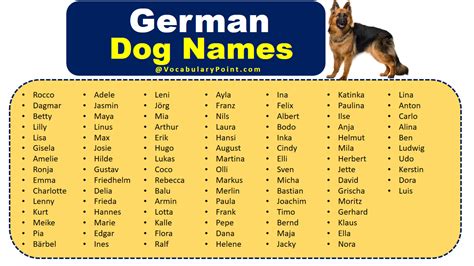 350 Most Popular German Dog Names Vocabulary Point