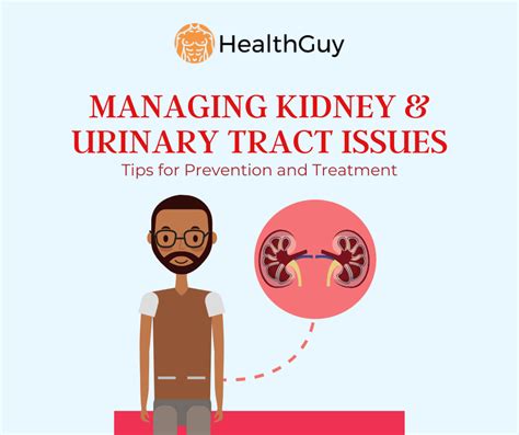 Managing Kidney And Urinary Tract Issues Tips For Prevention And