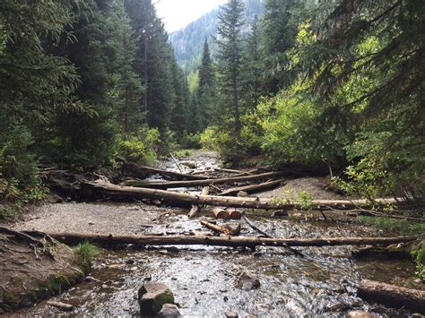 Crossing The Creek On The Way To Donut Falls In Big Cottonwood Canyon