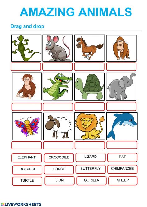 Animals Comparatives And Superlatives Interactive Worksheet Efl