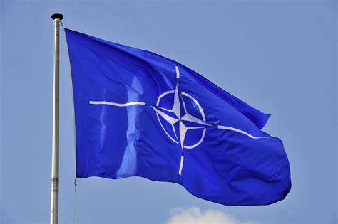 Flag of north atlantic treaty organization on white background. ICDS Participating NATO SAS-116 "Military Strategic Level ...