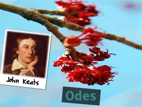 John Keats And His Odes