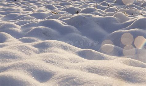 Snow Drifts Day Stock Photo Image Of Frozen Phenomenon 101669484