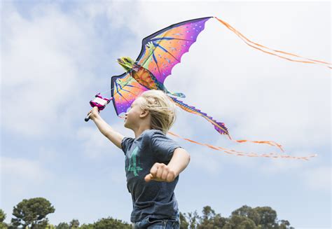 Lets Go Fly A Kite At The Community Kite Festival This Weekend
