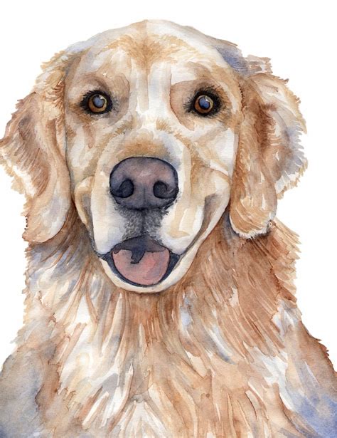 Pin By Dog Portraits On Retriever Dog Art Golden Retriever Watercolor
