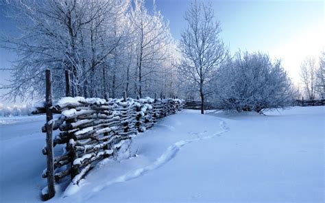 1,995 free images of snowfall. Wallpaper Winter Scenes (58+ images)