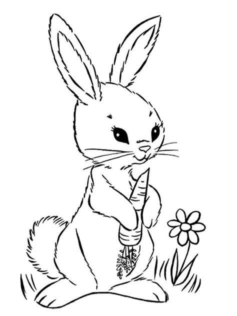 Malvorlagen tiere kostenlos ausdrucken kinderbilderdownload. Ausmalbilder Kaninchen - Malvorlagen Kostenlos zum Ausdrucken