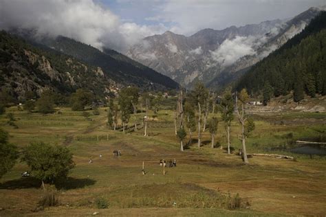 Asia Album Afghanistans Forest Of Nuristan On World Tourism Day