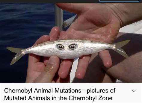 Chernobyl Animal Mutations Fish
