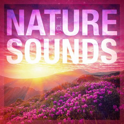 Nature Sounds Vol 1 Relaxing Sounds Of Nature Télécharger Et