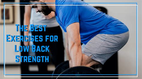 The Best Low Back Strength Exercises The Barbell Physio