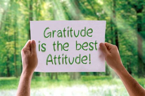 9 Essential Reasons To Cultivate An Attitude Of Gratitude By Donald