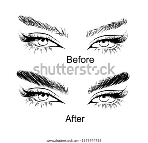 Hand Drawn Eye Illustration Eyebrow Lamination Before And After