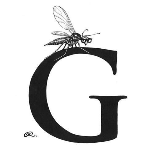 Gnat Drawing Free Download On Clipartmag