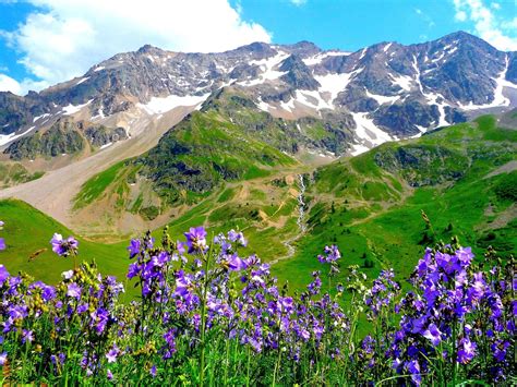 Find stunning, high quality images of nature from our handpicked collection hd to 4k quality available in all devices.we handpicked more than 700,000 nature pictures for your choosing. Nature-landscape-mountain-purple flowers-wallpaper Hd-2880x1800 : Wallpapers13.com