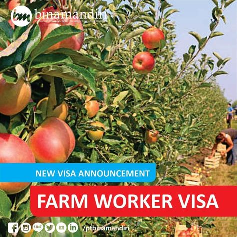 New Australia Farm Worker Visa Scheme Binamandiri